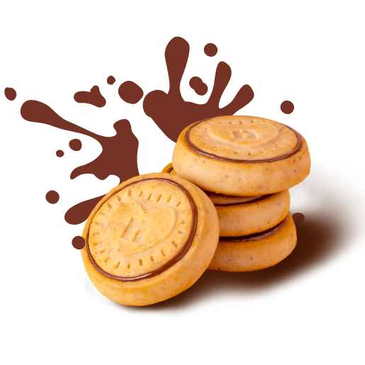 Nutella Biscuits (22 Biscuits) 304g